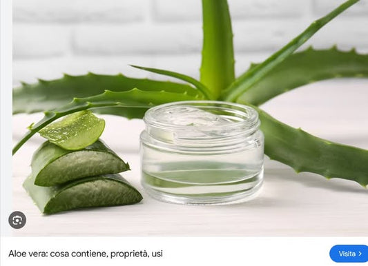 Le molteplici proprietà dell'Aloe Vera