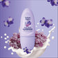 Deo Roll-On Sweet Violetta Tulipán Negro