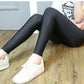 Leggins lucido