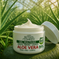 Aloe Vera 99% Multi-Use Gel - Tropical Greenhouse & Botanical Paradise